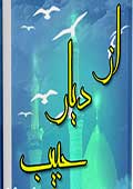 از ديار حبيب
