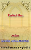 Perfect Man