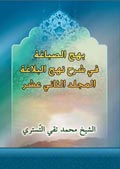 بهج الصباغة في شرح نهج البلاغة- الجزء 12
